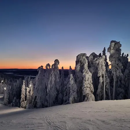 Hiihtaejaenkuja 5a4, Levi