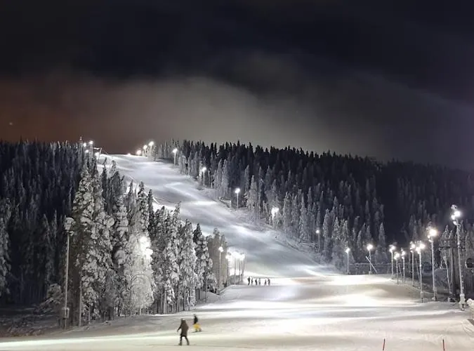 Hiihtaejaenkuja 5a4, * 列维