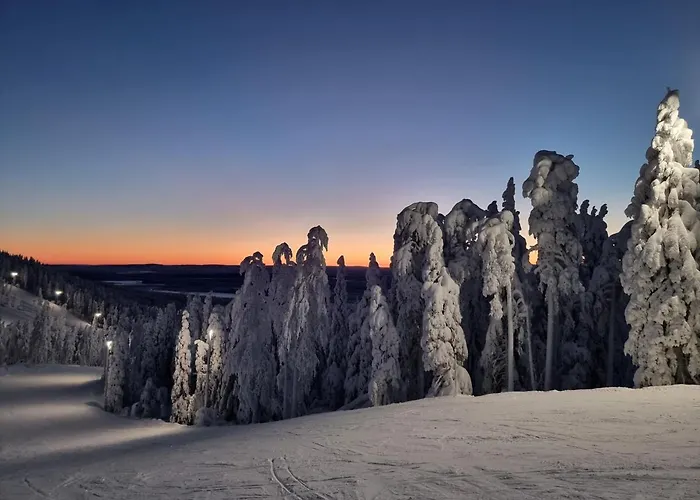 Hiihtaejaenkuja 5a4, Levi