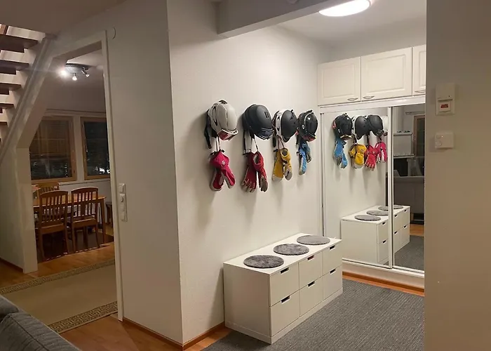 Hiihtaejaenkuja 5a4, 列维